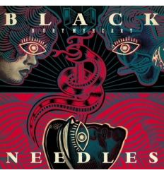 The Black Needles - Bury My Heart (Vinyl Maniac - record store shop)