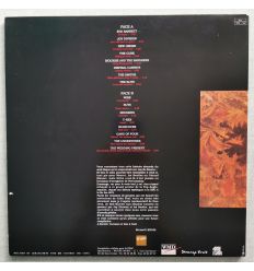 Bernard Lenoir - Best Of Peel Sessions (LP, Album, Gatefold, 33 tours)