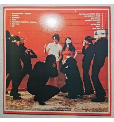 The White Stripes - I Think I Smell A Hype (LP, 33 tours)